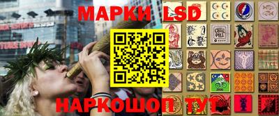 стаф Бугуруслан