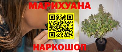стаф Бугуруслан