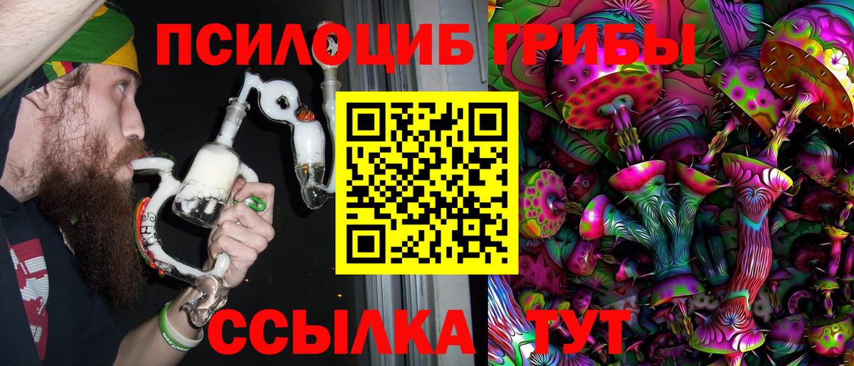 Псилоцибиновые грибы прущие грибы  Псилоцибиновые грибы Cubensis  Вход с VPN  Торжок 